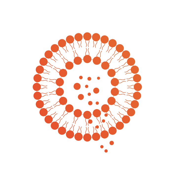Nanovex-strategies-controlled-release-icon