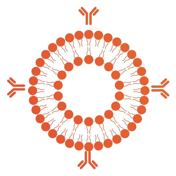 Nanovex-strategies-targeted-delivery-icon