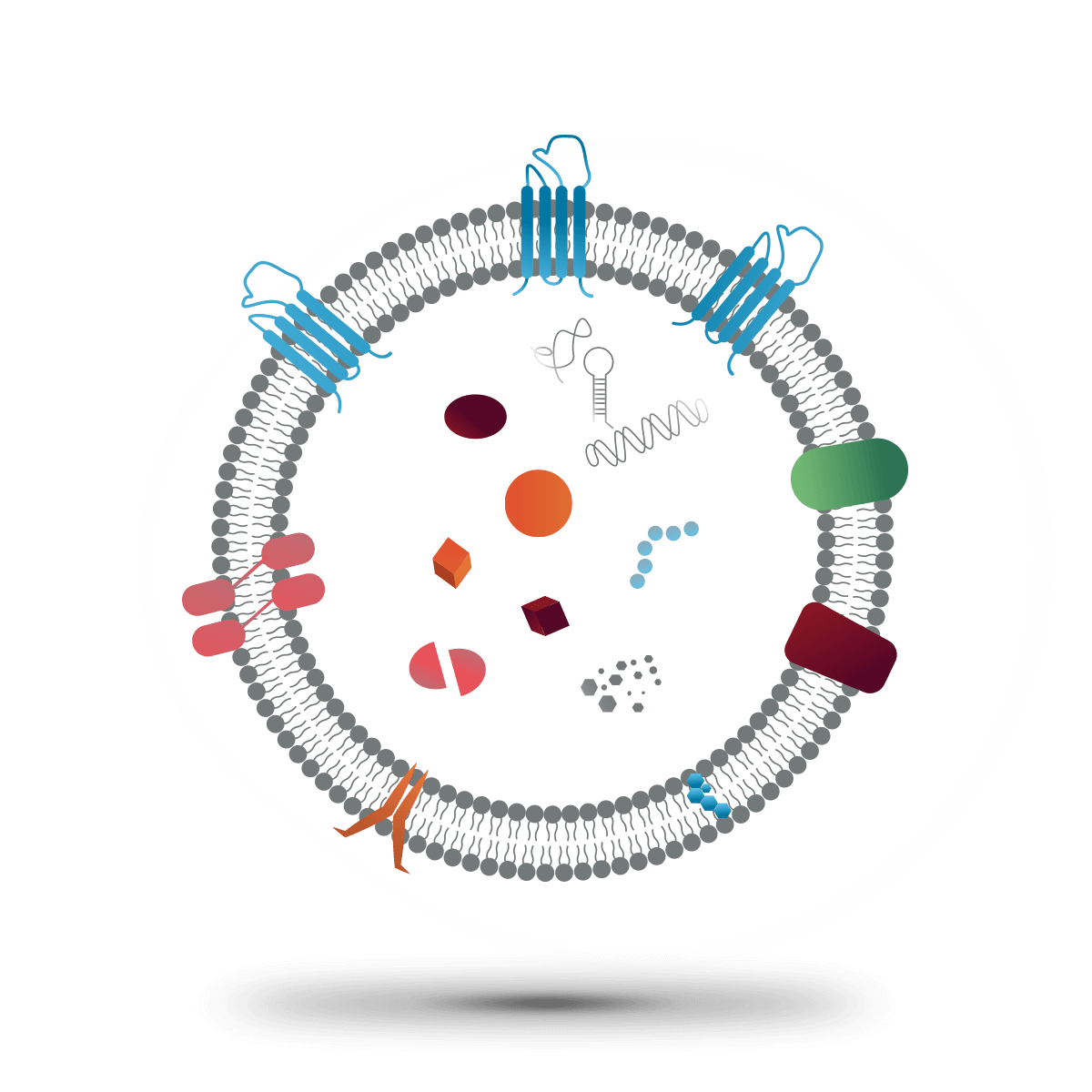 Engineered-exosomes-description