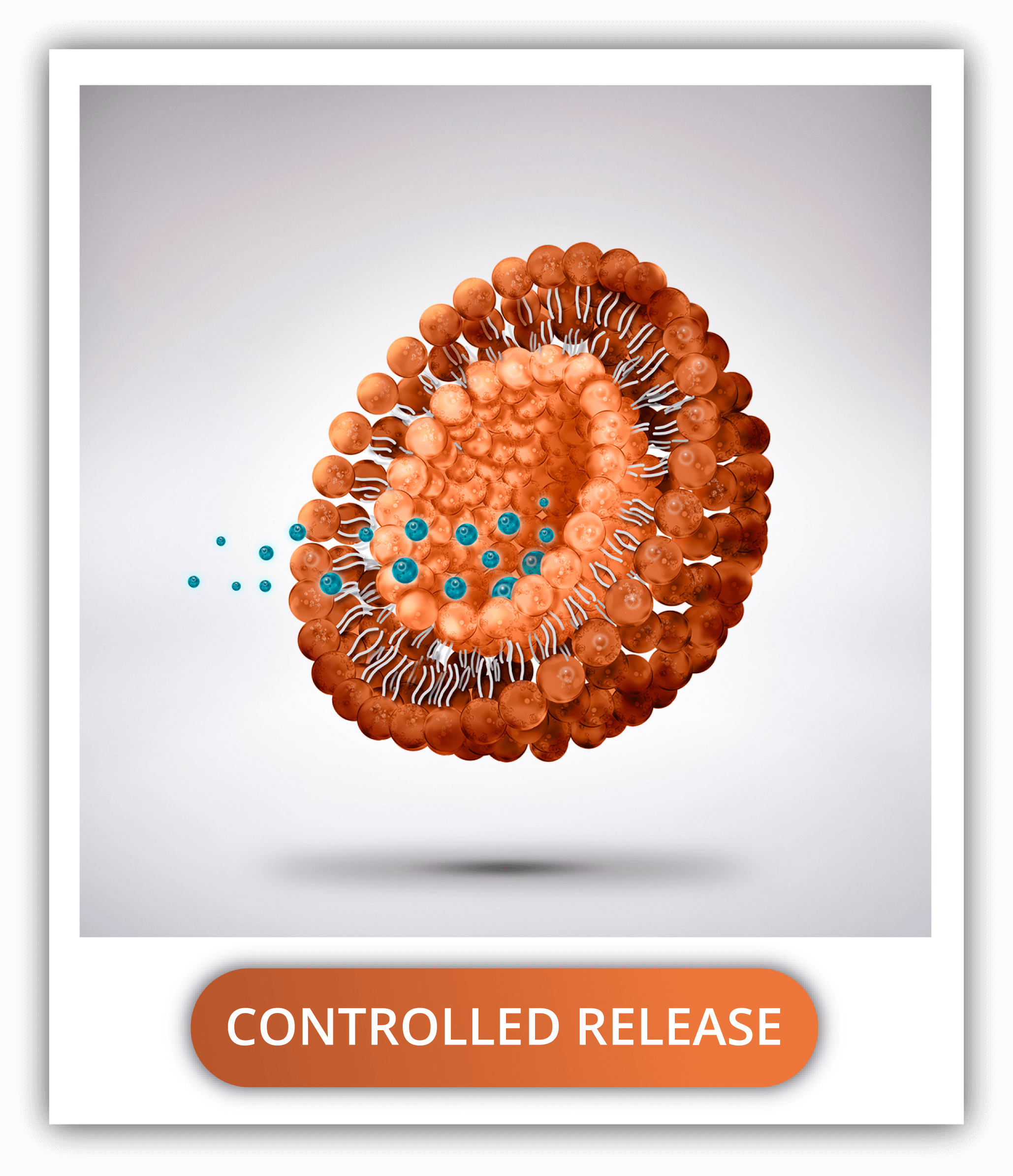 check-delivery-strategies-controlled-release