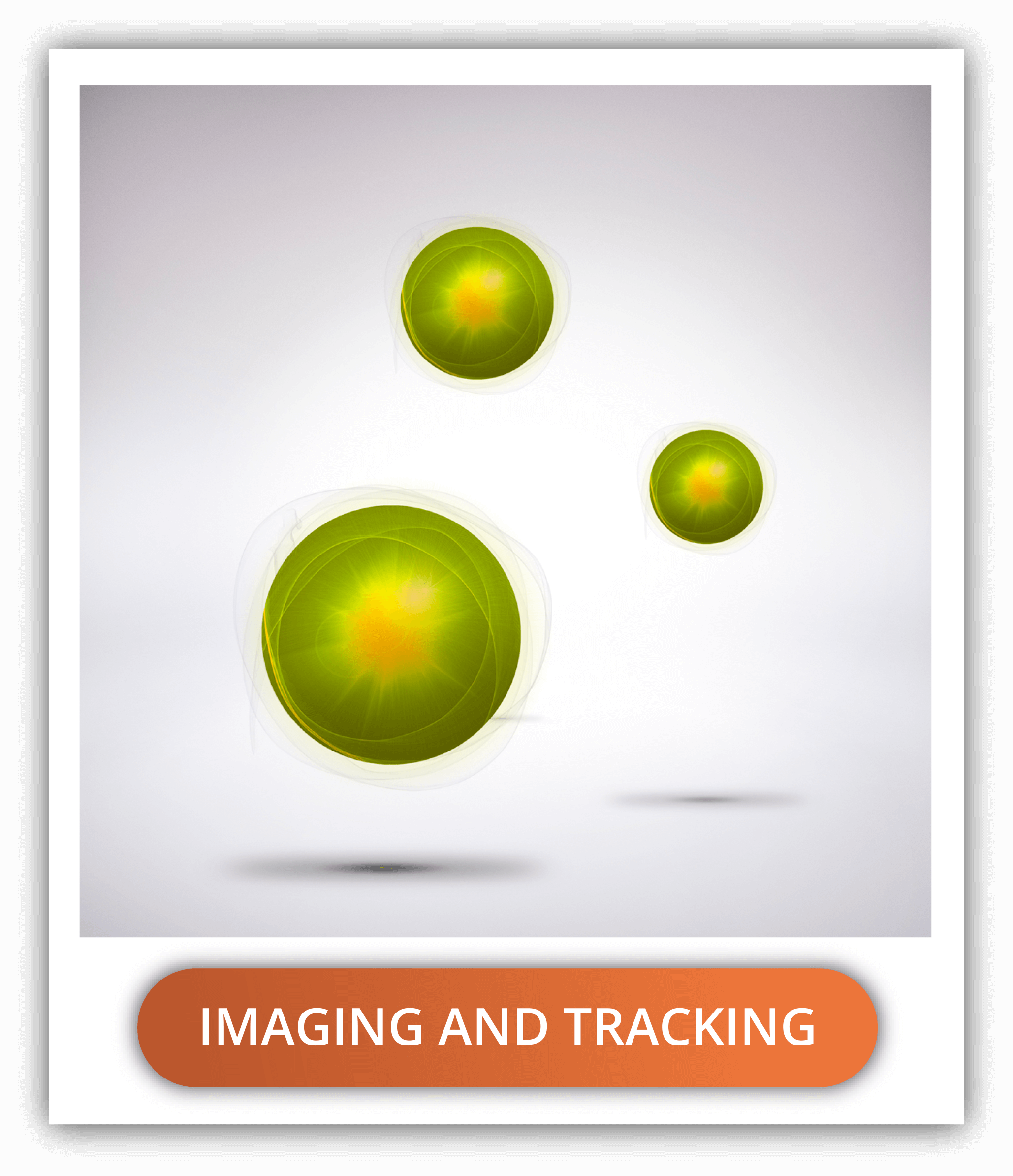check-delivery-strategies-imaging-and-tracking
