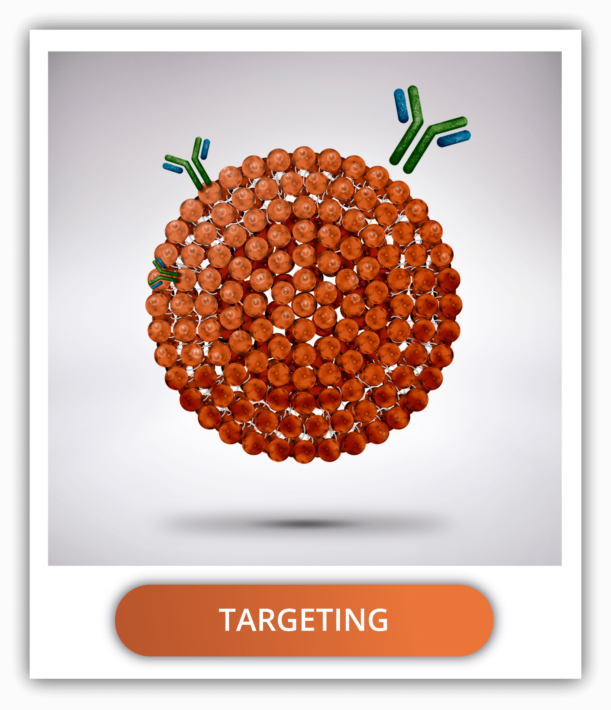 check-delivery-strategies-targeting