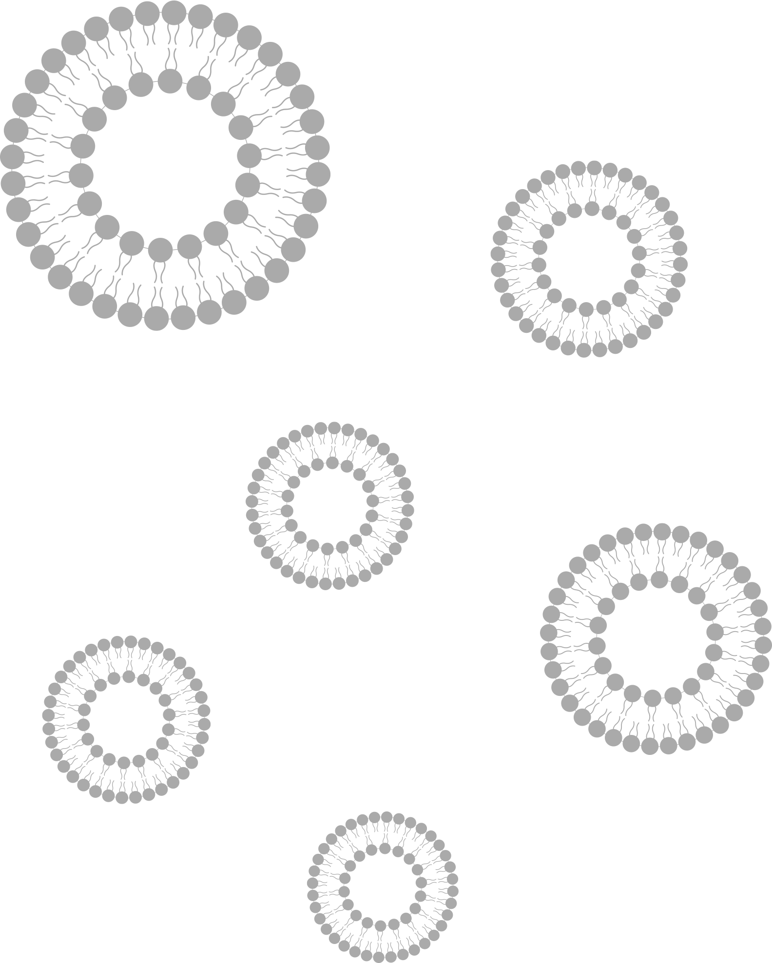 how-do-liposomes-provide-a-way-of-targeting-drugs