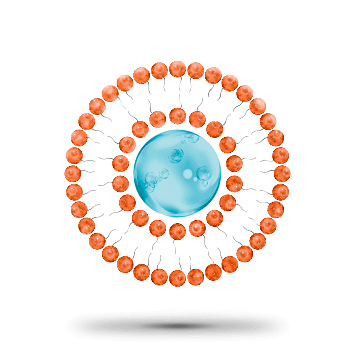 image-niosomes