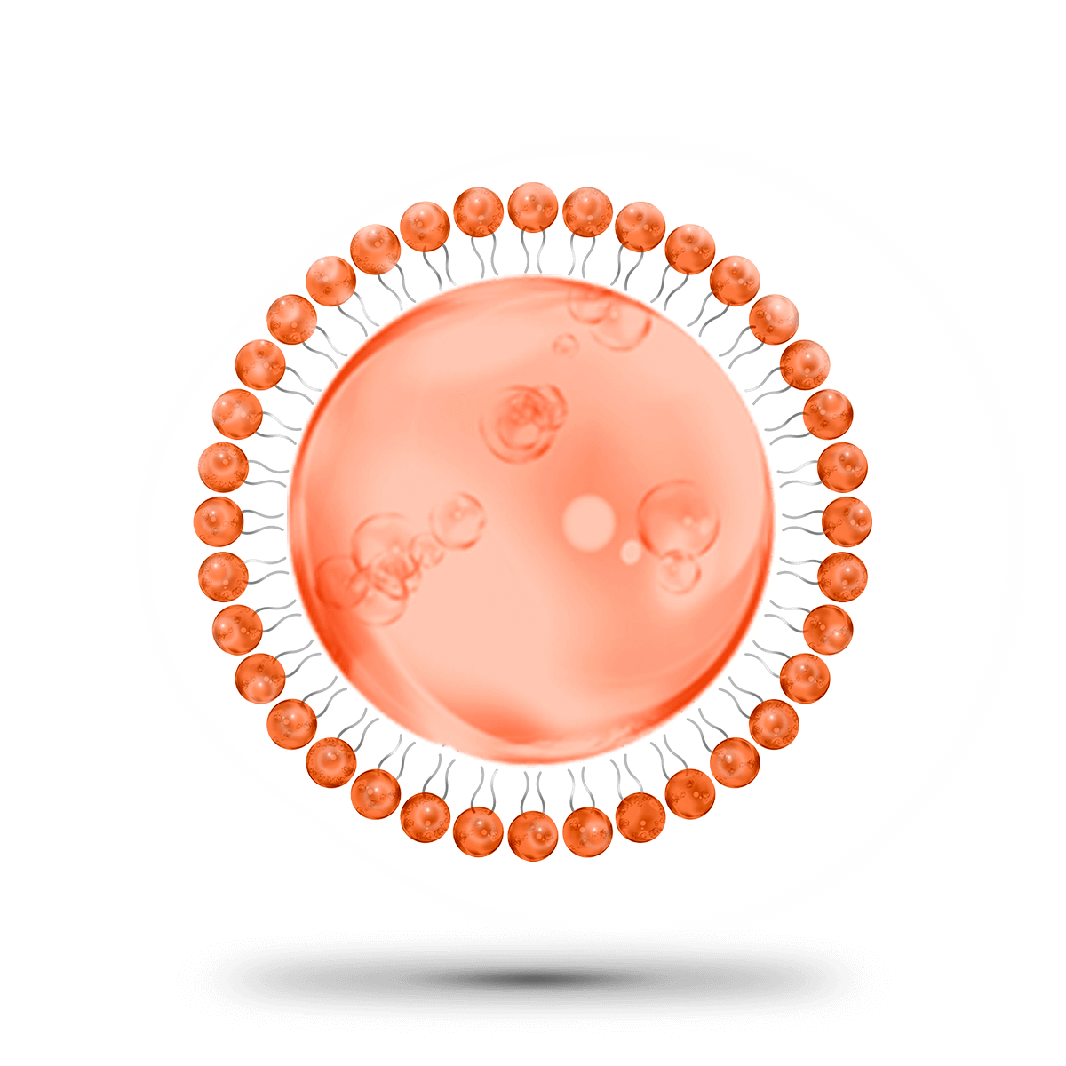 image-solid-lipid-nanoparticles