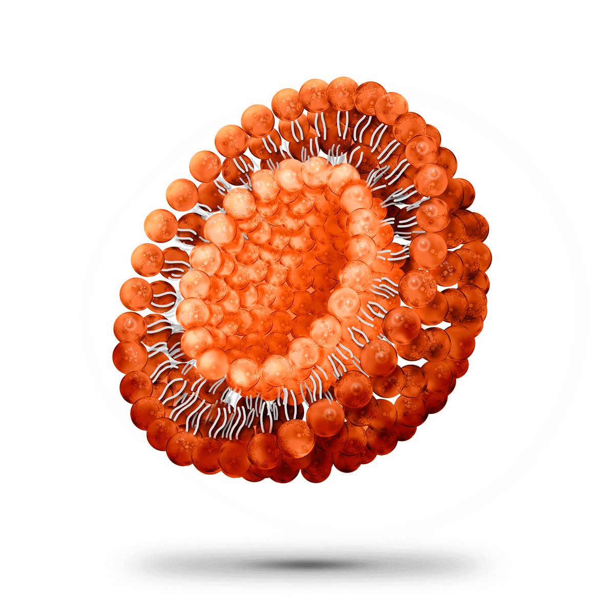 select-a-nanosytem-step1
