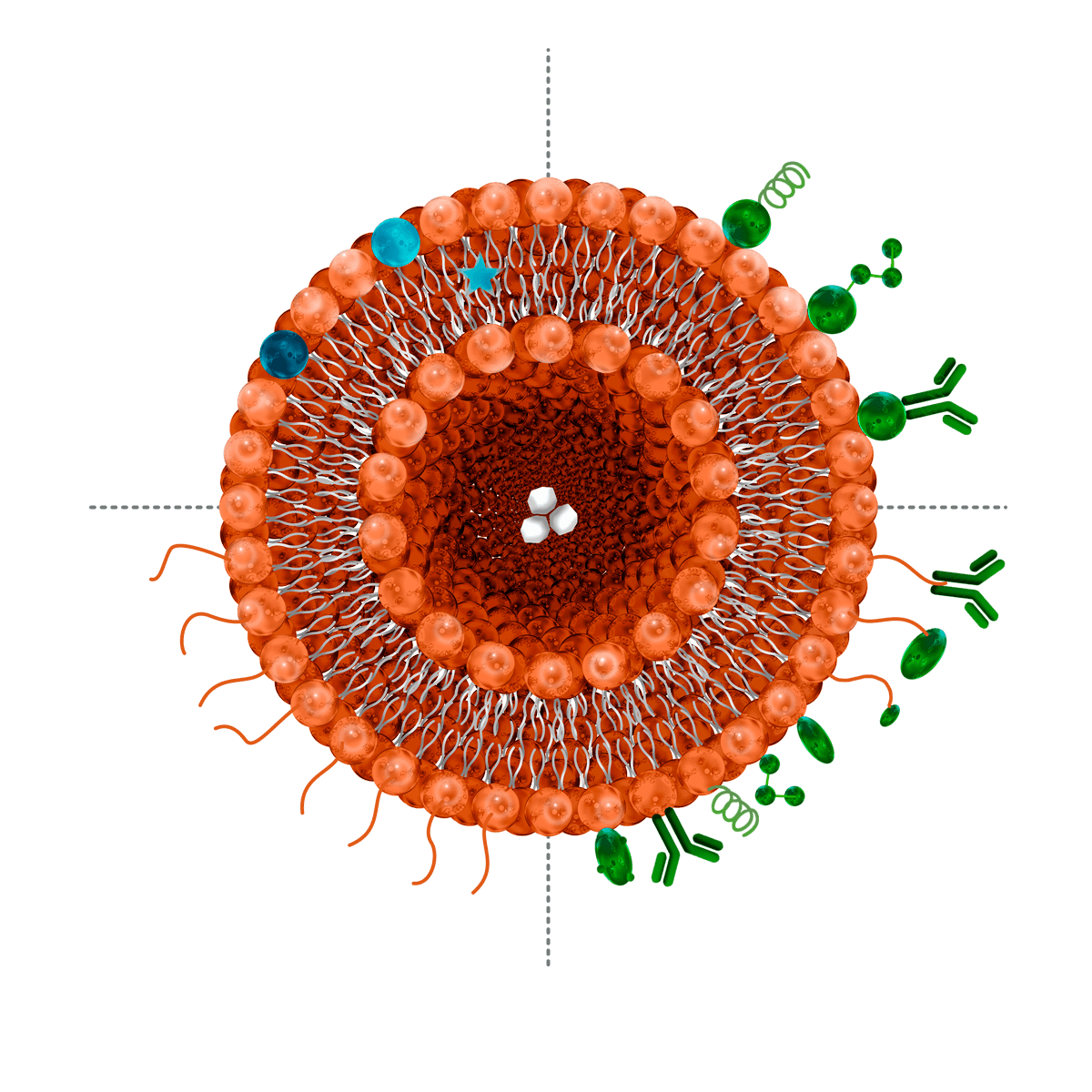 select-a-nanosytem-step3