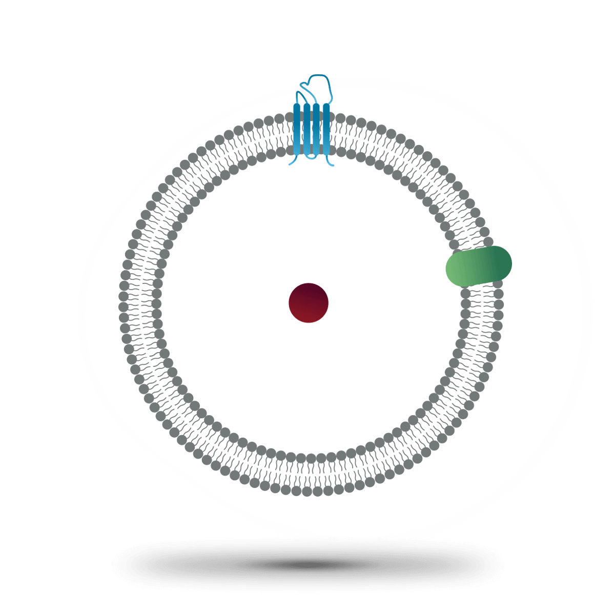 synthetic-exosomes-description